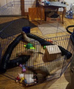 Kaytee Pet-N-Playpen with Mat for Pet Rabbits, Guinea Pigs, Ferrets or Other Small Animals 26 81C1ME8hntL