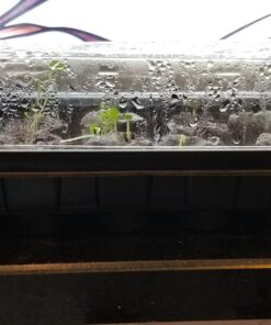 (12) Variety Pack Herb Garden Seeds | Basil, Cilantro, Parsley & More | ~4,000 Non GMO Heirloom Seeds | Survival Food for Survival Kits Gardening Gifts & Emergency Supplies by Open Seed Vault Herb Kit 12 pack 27 81C28zqqZRL