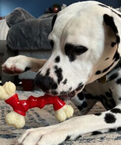 Nylabone Power Chew Double Bone Long Lasting Chew Toy for Dogs Medium - Up to 30 lbs. Medium up to 35 lbs. 23 81C5K2YcW3L