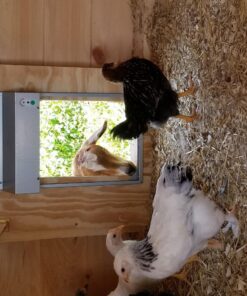 ADOR1 Automatic Chicken Coop Door, Complete with Battery 41 81C5nNrYbcL