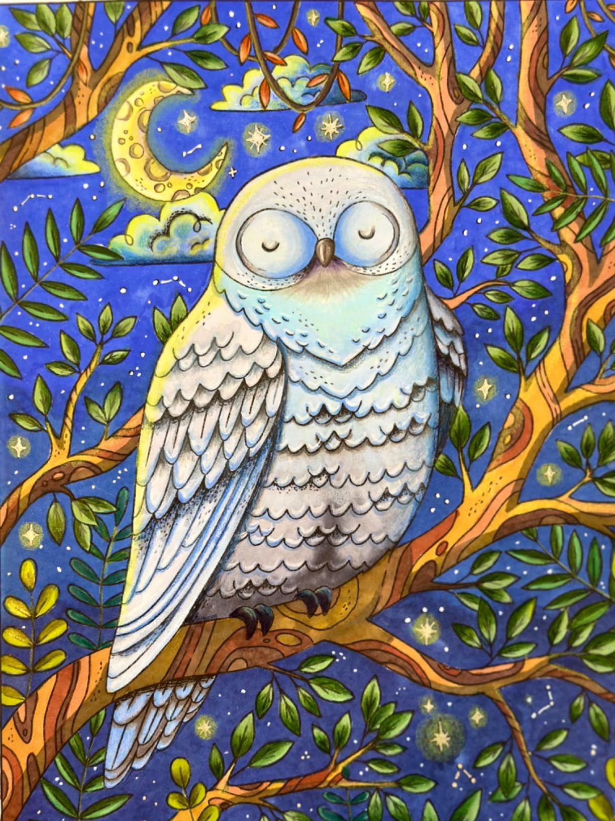 Prismacolor Colored Pencils, Premier Soft Core Pencils, Assorted, 132 Count 132 Count (Pack of 1) 18 Prismacolor Colored Pencils, Premier Soft Core Pencils, Assorted, 132 Count 132 Count (Pack of 1) - Image 18