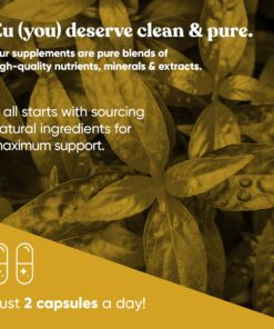 A+ Armor Andrographis Pure 800 Mg – Healthy Immune System Function, Physical Wellness, Potent Strength for Seasonal Protection – Full-Spectrum & Standardized – 60 Vegan Soft Capsules 17 81C86NcK5sL