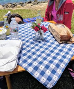 COSTWAY Wood Picnic Folding Roll Up Outdoor Camping Beach Dining Use Low Portable Table with Carrying Bag 17 81C8zV8ICgL