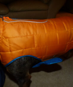 Kurgo Loft Dog Jacket, Reversible Dog Coat, Wear with Harness or Sweater, Water Resistant, Reflective, Winter Coat For Large Dogs (Coastal Blue, L) Coastal Blue/Orange 35 81CD52YfUwL