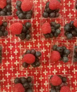 Zappy 100 Ct Elegant Square Mini Cube 2oz Clear Tasting Sample Shot Glasses 100 Ct Dessert Cups Disposable Plastic 100 Count (Pack of 1) 56 81CMasH4INL