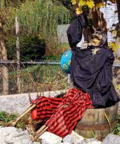 nicebottles Plastic Wine Bottles & Screw Caps, Green, 750ml - Pack of 4 17 81CPE35HApL