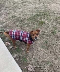 Kuoser Cozy Waterproof Windproof Reversible British Style Plaid Dog Vest Winter Coat Warm Dog Apparel for Cold Weather Dog Jacket for Small Medium Large Dogs with Furry Collar (XS - 3XL),Red M Medium (Pack of 1) Red 44 81CRXIW15L