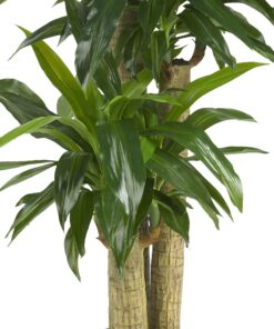 Nearly Natural - 6584 62in. Corn Stalk Dracaena Silk Plant (Real Touch), 24" x 28" x 62", Green artificial plant 38 81CSAUbHvLL