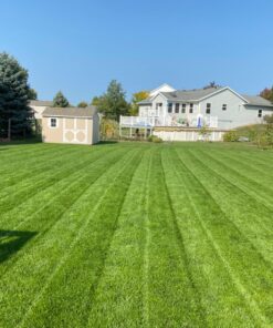 Scotts Turf Builder Starter Fertilizer for New Grass, Use When Planting Seed, 5,000 sq. ft., 15 lbs. Standard 5,000 sq. ft. 37 81CUTcYqGtL