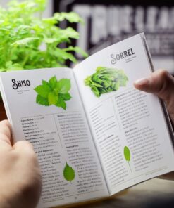 Culinary Herb Seeds Variety Pack - Outdoor & Indoor Herb Garden Kit - 10 Non-GMO Herb Garden Seeds for Planting & Book - Basil Seeds, Dill Seeds, Rosemary Seeds, Thyme Seeds, & More 24 81CbDx7E4L