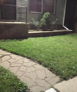 SOLLA 150W LED Flood Light, IP66 Waterproof, 12000lm, 800W Equivalent, Super Bright Outdoor Security Lights, 6000K Daylight White, Outdoor Floodlight for Garage, Garden, Lawn and Yard 38 81CdjNNOxL