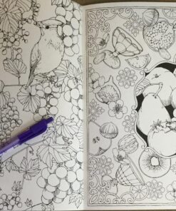 Mori ga kanaderu rhapsody. Rhapsody in the forest.(Coloring Book Japan Edition) 56 81Cg1CEFZPL