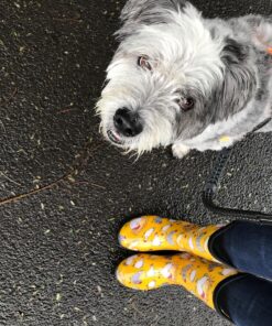 Sloggers Waterproof Garden Rain Boots for Women - Cute Mid-Calf Mud & Muck Boots with Premium Comfort Support Insole 6 Chickens Daffodil Yellow 23 81CgiTxQUxL