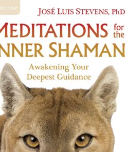 Meditations for the Inner Shaman: Awakening Your Deepest Guidance