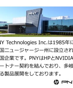 PNY 128GB Elite Performance Class 10 U3 SDXC Flash Memory Card 14 81CoEVBYxrL