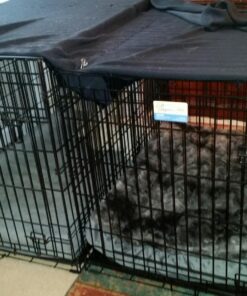 MidWest Homes for Pets Large Dog Crate | MidWest Life Stages Double Door Folding Metal Crate | Divider Panel, Floor Protecting Feet, Leak-Proof Pan | 42L x 28W x 31H Inches For Large Dog Breed 42.0"L x 28.0"W x 30.0"H Lifestages; Double Door 48 81Cq9KmeML