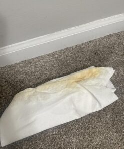 Rocco & Roxie Stain & Odor Eliminator for Strong Odor - Enzyme Pet Odor Eliminator for Home - Carpet Stain Remover for Cats and Dog Pee - Enzymatic Cat Urine Destroyer - Carpet Cleaner Spray 32 oz 41 81CtmMU IYL 1