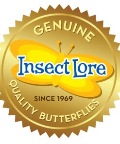 Painted Lady Butterfly Kit - Habitat, STEM Journal, & Voucher for Chrysalis Log & Caterpillars - Grow Your Own Butterfly Kit 40 81CuX6jHML 1