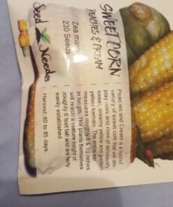 Seed Needs, 230+ Peaches & Cream Sweet Corn Seeds (Zea mays) Untreated and Non-GMO Bulk 37 81CxwfOKH5L