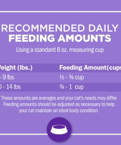 Purina Cat Chow Gentle Dry Cat Food, Sensitive Stomach + Skin - 13 lb. Bag 13.00 Pound (Pack of 1) 33 81Cz4zwS7qL