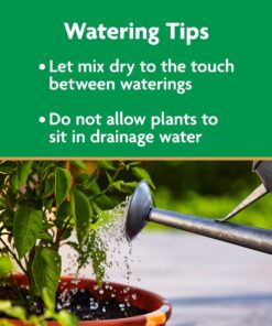Miracle-Gro Moisture Control Potting Mix - Soil for Indoor & Outdoor Containers, Added Fertilizer Feeds Up to 6 Months, 8 qt. 8 qt. 32 81D13sDUxyL