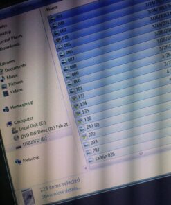 PNY Attache USB 2.0 Flash Drive, 32GB/ BLACK (P-FD32GATT03-GE) 37 81D29dIfkrL