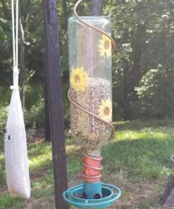 Easy to Make your Own - recycle empty SODA pop Bottle Top BIRD FEEDER (Green - Pack of 3) 6 81D2b2SI jL