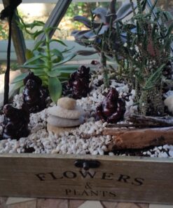 JapanBargain 3578, Set of 6 Buddha Statues Laughing Buddha Lucky Buddha Happy Buddha Gods Figures Fengshui Decoration, Rosewood Color 49 81D4KOBBNL