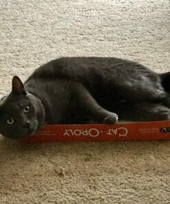 Late for the Sky CAT-opoly Board Game White, Large 51 81D5l6jMbL