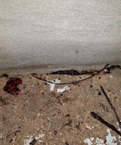 Rubberseal Liquid Rubber Waterproofing and Protective Coating - Roll On (1 Gallons) 1 Gallon 23 81D958agr3L