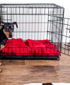 Paws & Pals Dog Crate, 24" Pet Cage, Wire Metal Kennel, with Tray, Foldable & Portable, Durable Steel Wire, Easy Setup, Ideal for Puppies & Kittens, Black 24.0"L x 16.0"W x 20.0"H 26 81D9krMW4L