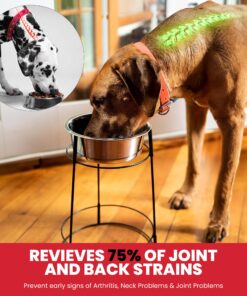 SPOT Elevated Dog Feeder, Stainless Steel, Single Bowl, Hygienic, Easy to Clean, Promotes Proper Posture, Ideal for Medium and Large Breeds, 14-Inch 24 81DAINGdM3L