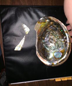 Smudge Kit Spiritual Set, Large Abalone Shell, Complete Sage Smudge Stick Kit, Palo Santo, White Sage Incense for Cleansing, Smudge Feather,Chakra Kit Bracelet, Charitable Positive Vibes Smudging Kit 57 81DCI0YLvnL