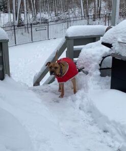 Zack & Zoey Nor'Easter Blanket Coat, X-Large, Red 1 35 81DD327rRDL 1