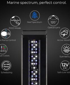 Current USA 36-48" Inch Orbit Marine LED Saltwater Reef Marine Aquarium Light | 24 Hour IR Lighting & eFlux Wave Pump Control | Adjustable Color Spectrum for Fish Tank (4102) Black 36 to 48-Inch 27 81DE6zWhaXL 1