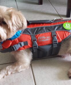 Outward Hound Granby Splash Orange Dog Life Jacket, Small Granby (Flotation) Small (Chest Girth: 16"-20") 54 81DHxEfqMdL