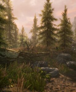 Alternative view of The Elder Scrolls V: Skyrim Special Edition - Xbox One