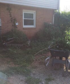 Haus & Garten PrecisionPRO 8" Titanium Pruning Shears - Heavy Duty Professional Bypass Pruner - Use As Rose Clippers, Premium Gardening Secateurs, Garden Scissors, Handheld Yard, Tree, & Plant Tool 39 81DLiNfNSyL