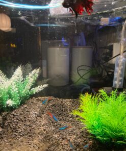 Hikari USA Inc. Ich x - Ich Treatment with More 16oz 16 oz 23 81DOJOjYCPL