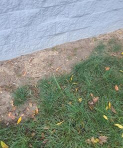 Scotts EZ Seed Dog Spot Repair Sun and Shade - 2 Lb., Mulch, Seed and Soil Amendment with Protectant and Tackifier, Repairs Pet Spots 2 lb. 1 Pack 53 81DROm7V5NL