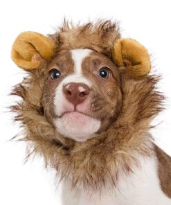 Pet Krewe Cat Lion Mane Halloween Costume – Fits Neck Size 8”-14 - Lion Costume for Small Cats and Kittens – Ideal for Halloween, Cat Birthday, Cat Cosplay, Cat Outfits, Pet Clothes One size fits all 29 81DTLBoHPuL