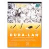 Grafix Matte 0.005 Dura-Lar Film, 9 12-Inch, 25 Sheets, 9x12 in, Original Version .005" (5 mil) 25 81DWnPajuhL