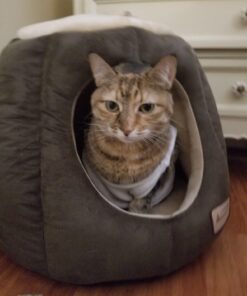 Armarkat Cat Bed, Laurel Green and Beige 48 81DXOxqONRL