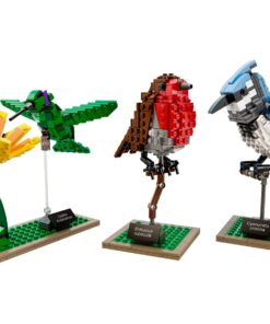 LEGO Ideas 21301 Birds Model Kit 25 81DiriELWEL