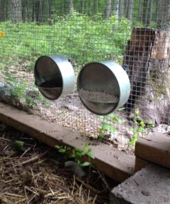 Little Giant® Hangable Poultry Waterer| Galvanized Round Hanging Poultry Waterer | Hanging Chicken Waterer | Chicken Canteen 11 81DuRjsU1nL