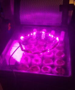 Humidity Controller IHC200 Inkbird Humidistat Mushroom Greenhouse Pre Wired Outlet Dual Stage Humidifier Dehumidifier. 43 81DyMkDU9JL