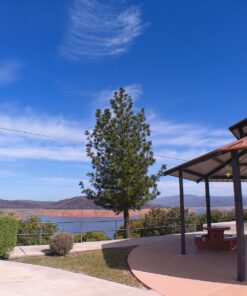 52MM 0.43x Wide Angle Conversion Lens with Macro for Nikon D3200, D3300, D5100, D5200, D5300, D5500, D7200, D90, D500, D600, D610, D700, D750, D800 34 81DyrlmpYWL