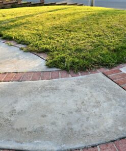 Worx Edger Lawn Tool, Electric Lawn Edger 12 Amp 7.5", Grass Edger & Trencher WG896 12-Amp 7.5" Electric Lawn Edger & Trencher 55 81E0zSx6o9L