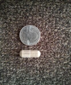 Arazo Nutrition Liver Cleanse Detox & Repair Formula – Milk Thistle Herbal Support Supplement: Silymarin, Beet, Artichoke, Dandelion, Chicory Root 30 81E3Ns28UfL