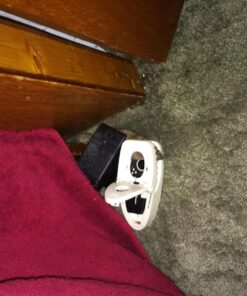 Tomcat Press 'N Set Mouse Trap, Plastic, Spring-Loaded Mouse Killer with Grab-Tab, 2 Traps Mouse Traps (2 Traps) 55 81EA4VA vfL